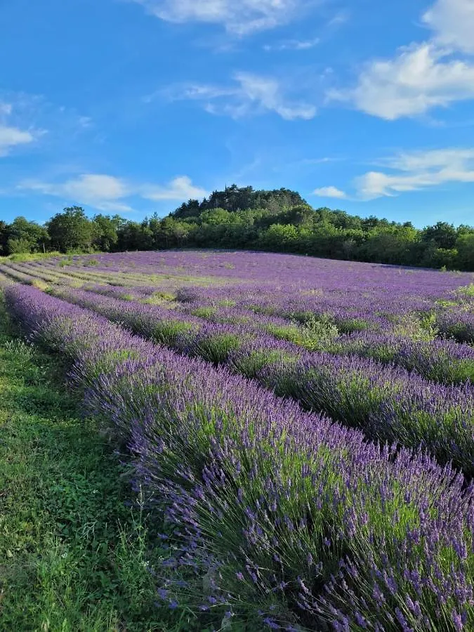 La Ferme Du Chateau Puygiron France